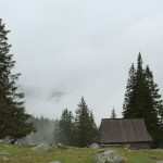 IMG_7326